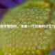 老王者荣耀图标，承载一代玩家的记忆与情怀