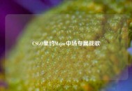 CSGO里约Major中场专属战歌