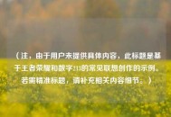 （注，由于用户未提供具体内容，此标题是基于王者荣耀和数字213的常见联想创作的示例。若需精准标题，请补充相关内容细节。）