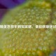 和平精英急救伞购买攻略，低价获取途径一览