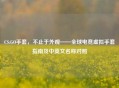 CS:GO手套，不止于外观——全球电竞虚拟手套指南及中英文名称对照