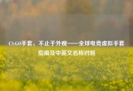 CS:GO手套，不止于外观——全球电竞虚拟手套指南及中英文名称对照
