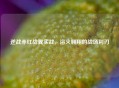 逆战赤红战翼实战，浴火翱翔的战场利刃