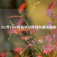 2023年CSGO竞猜平台推荐与避坑指南