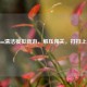 Steam清洁模拟新游，解压闯关，打扫上瘾！