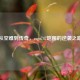从空难到传奇，csgo747地图的逆袭之路