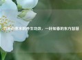 竹叶心煮水的养生功效，一叶知春的东方智慧