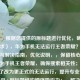 （注，根据您提供的原标题进行优化，确保符合要求），华为手机无法运行王者荣耀？原因分析与解决指南，优化说明，，保留核心关键词华为手机王者荣耀，确保搜索相关性；，将玩不了改为更正式的无法运行，提升专业性；，用问句+副标题结构增强吸引力；，解决指南比解决方案更简明，符合用户搜索习惯；，控制字数在20字内（中文标题建议长度），避免冗长。