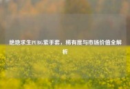 绝地求生PUBG紫手套，稀有度与市场价值全解析