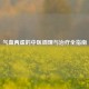 气血两虚的中医调理与治疗全指南