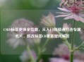 CSGO标签更换全指南，从入门到精通打造专属名片，附改标签CD重置疑问解答