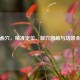 三焦俞穴，精准定位、取     解与功效全解析