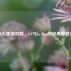 香奈儿黑银双姝，CF与Le Boy的经典摩登对话