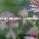 香砂养胃丸副作用解析，安全用药必知事项