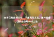 王者荣耀最美坐标，不是高地水晶，是并肩走过的峡谷每一寸土地