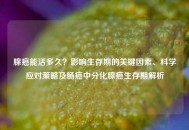 腺癌能活多久？影响生存期的关键因素、科学应对策略及肠癌中分化腺癌生存期解析