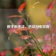 数字极速战，逆战闪电攻防