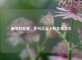 银发的智慧，岁月沉淀下的生命之光