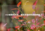 CSGO城里的月光,虚拟战场中的诗意栖居 CSGO城里的月光,虚拟战场中的诗意栖居