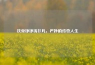 铁骨铮铮铸非凡，严铮的传奇人生