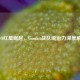 CSGO红星崛起，Gambit战队统治力深度解析