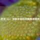 Steam好友-105，当数字背后的孤独感悄然蔓延
