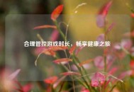 合理管控游戏时长，畅享健康之旅