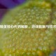 和平精英核心代码解析，游戏机制与技术实现