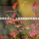 CS:GO传奇选手Alex，从英国巅峰到电竞传承之路