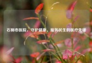 石狮市医院，守护健康、服务民生的医疗先锋