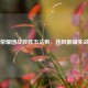 王者荣耀团战致胜五法则，逆风翻盘实战秘籍
