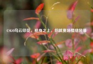 CSGO乌云印花，枪身之上，织就赛场情绪风暴
