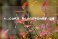 Steam空白昵称，藏在游戏世界里的隐形人浪漫
