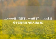 从WDNMD到‘我起了，一枪秒了’，CSGO主播茄子的梗文化为何火爆出圈？