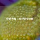 穿越火线，心碎四字ID集