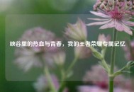 峡谷里的热血与青春，我的王者荣耀专属记忆