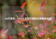 380万背后，CSGO十年狂欢里的玩家青春战场