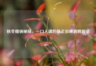 秋冬暖锅秘味，一口入魂的最正宗啤酒鹅做法