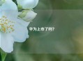 华为上市了吗？