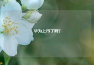 华为上市了吗？