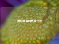 镌刻青春的热血代号