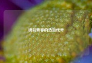 镌刻青春的热血代号