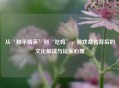 从‘和平精英’到‘吃鸡’，游戏命名背后的文化解读与玩家心理