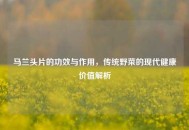 马兰头片的功效与作用，传统野菜的现代健康价值解析