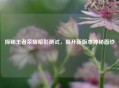 探秘王者荣耀暗影测试，揭开新版本神秘面纱