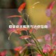 癔症症状解析与治疗指南