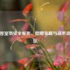 PUBG密室物资全解析，隐藏宝藏与战术资源一览