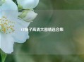 CF柿子高清大图精选合集