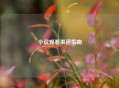 小说观看渠道指南