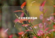 小说观看渠道指南